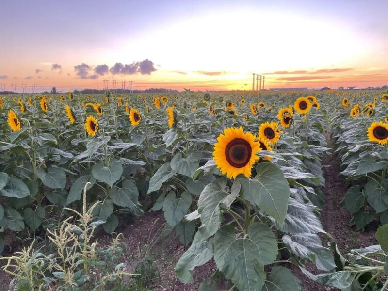 Miami's Ultimate Buggy Adventure on a Polaris RZR UTV - FAQ