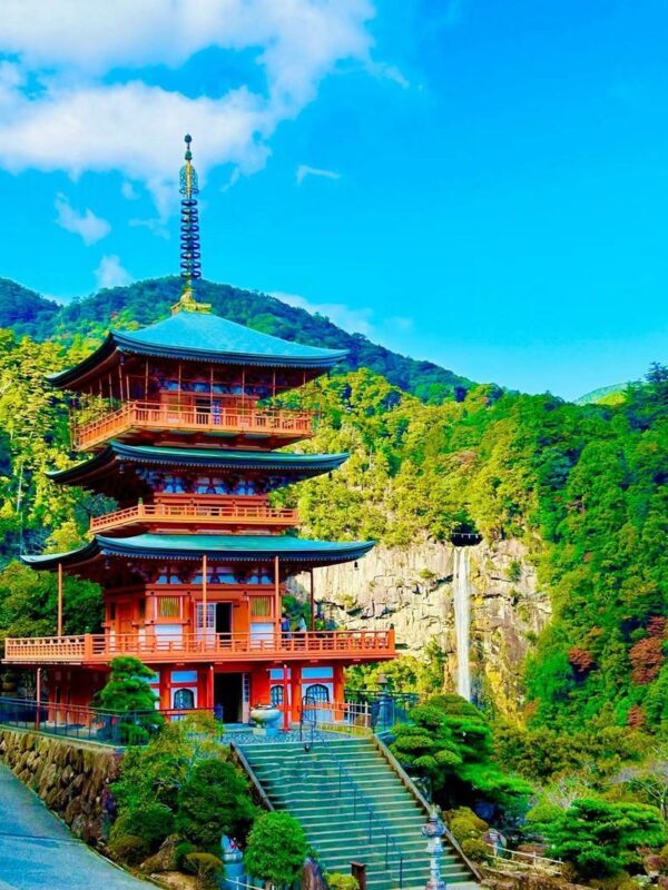Michelin Kumano Kodo Pilgrimage & Nachi Falls Day Tour from Nagoya - At a glance