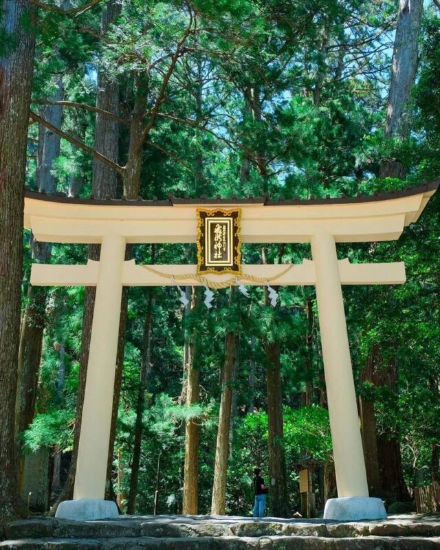 Michelin Kumano Kodo Pilgrimage & Nachi Falls Day Tour from Nagoya - Nachi Falls: the payoff at the end of the route