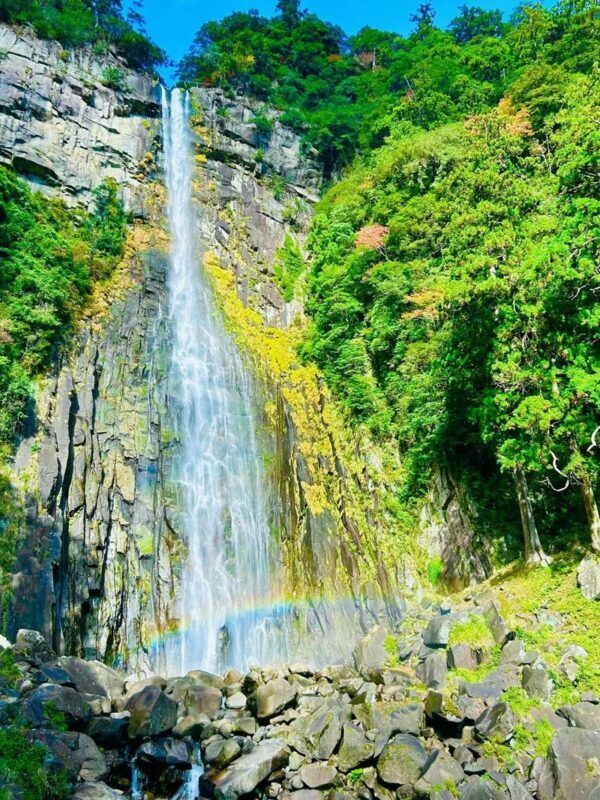 Michelin Kumano Kodo Pilgrimage & Nachi Falls Day Tour from Nagoya - What the 11-hour schedule really means