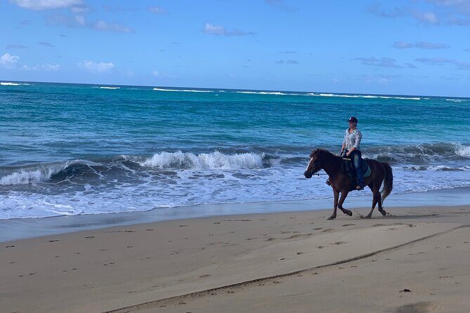 Miches Beach Horseback Riding - The Experience for Different Travelers