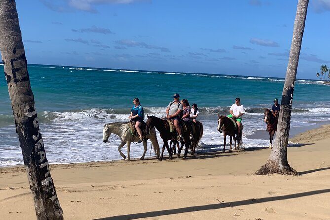 Miches Beach Horseback Riding - Final Thoughts: Who Should Book This?