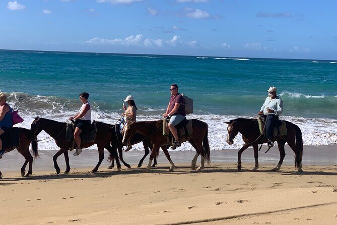 Miches Beach Horseback Riding - FAQ