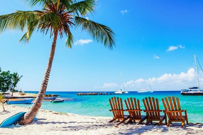 Miches Catamaran Boat to Saona Island with Buffet Lunch - Introduction