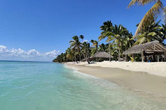 Miches Catamaran Boat to Saona Island with Buffet Lunch - The Sum Up