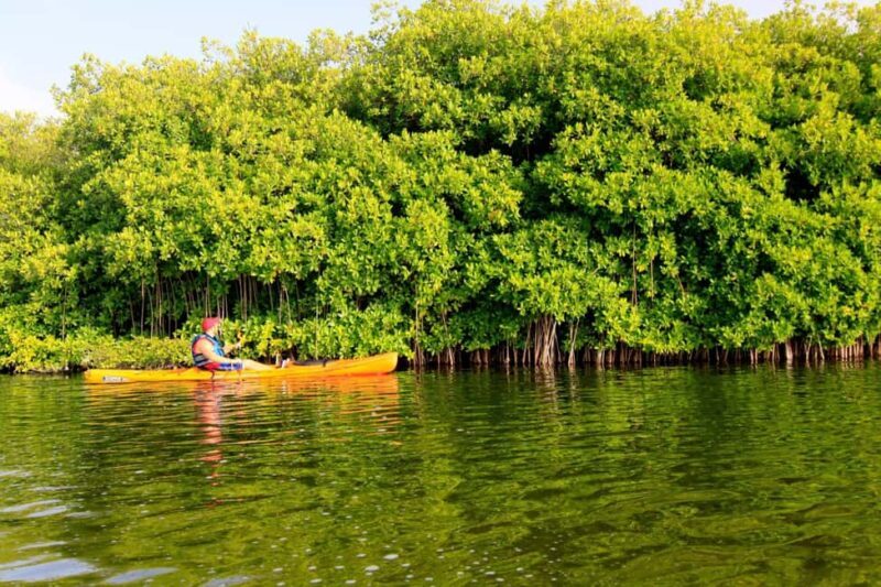 Miches: El Limón Lagoon Guided Kayak Tour with Guide - FAQ