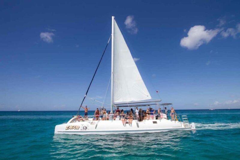 Miches: Isla Saona Day Trip with Catamaran & Lunch - Practical Tips for the Day