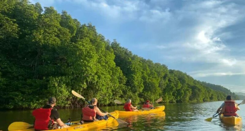 Miches: Private Kayak Excursion Through El Limón Lagoon - FAQ