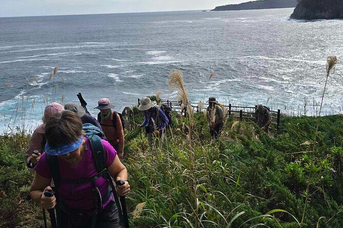 Michinoku Coastal Trail & Sea Kayak in Jodogahama - Who Will Enjoy This Tour?