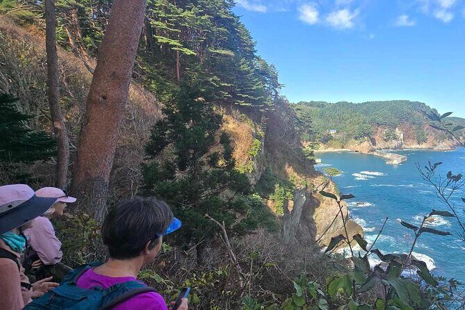 Michinoku Coastal Trail & Sea Kayak in Jodogahama - The Sum Up: Is It Worth It?
