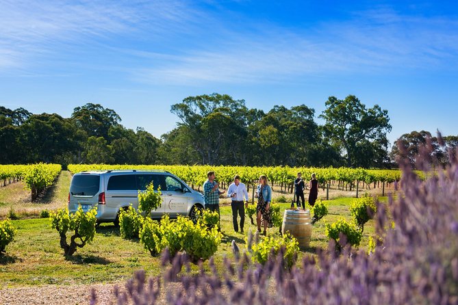 Micro-Group Barossa Valley Wine Tour From Adelaide - Tour Overview and Features