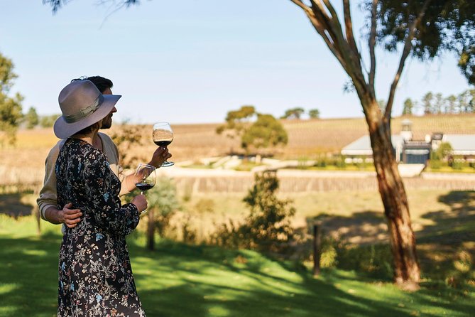 Micro-Group Mclaren Vale Wine Tour From Adelaide - Tour Details