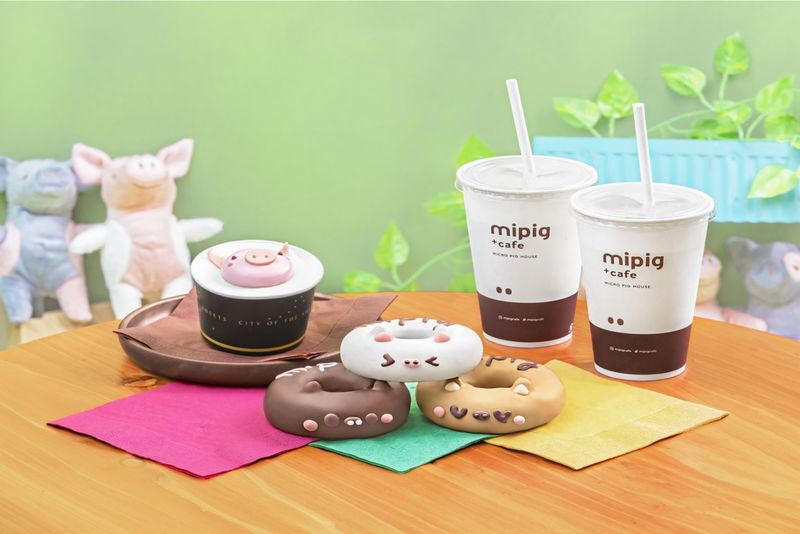 Micro Pig Cafe Experience in Harajuku - What the hour with the pigs is really like