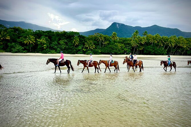 Mid-Morning Beach Horse Ride in Cape Tribulation - Tour Details