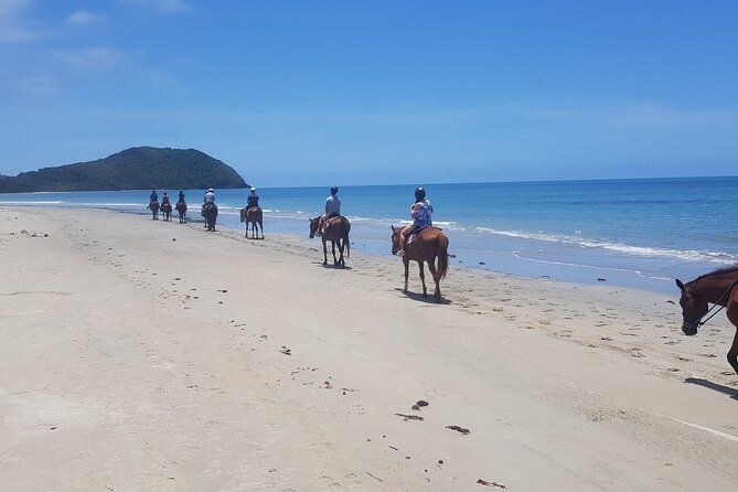 Mid-Morning Beach Horse Ride in Cape Tribulation - Pickup and Transportation