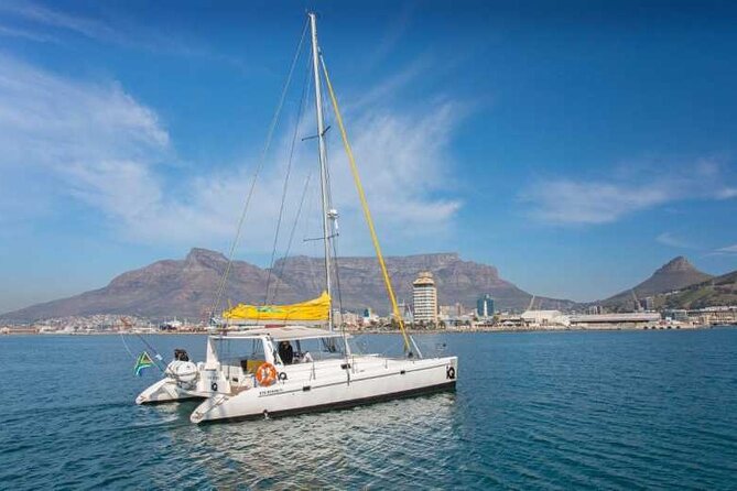 Midday Cruise in Cape Town - Cruise Departure Point and Time