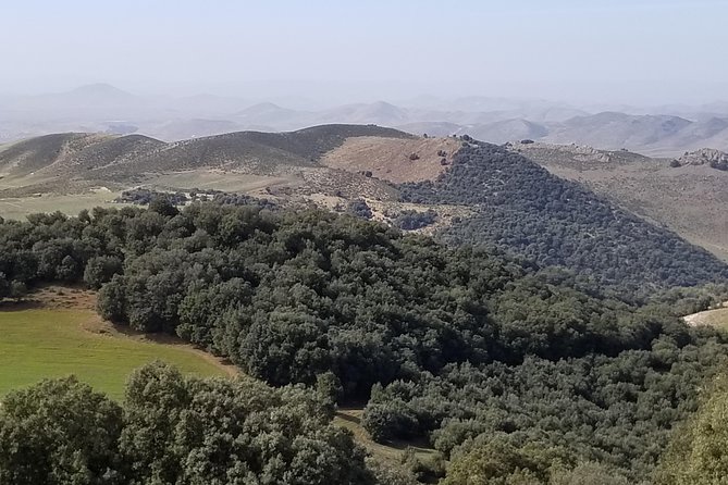 Middle Atlas Day Trip From Fes - Overview of Middle Atlas Day Trip