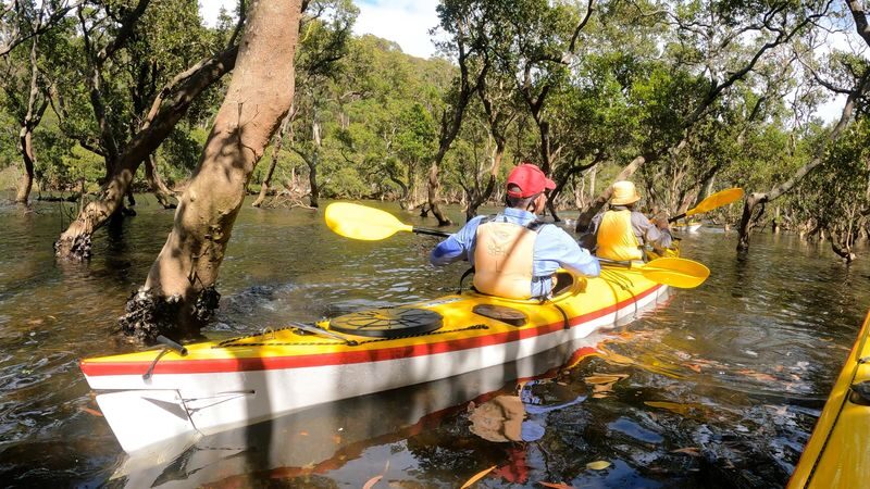 Middle Harbour Kayak Eco Tour by Sydney Harbour Kayaks - A shore-side pause for morning tea
