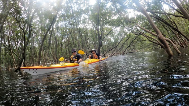 Middle Harbour Kayak Eco Tour by Sydney Harbour Kayaks - What to bring, and what the operator provides