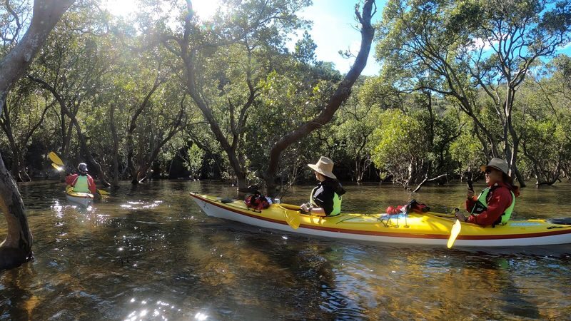 Middle Harbour Kayak Eco Tour by Sydney Harbour Kayaks - Who will enjoy paddling Middle Harbour?