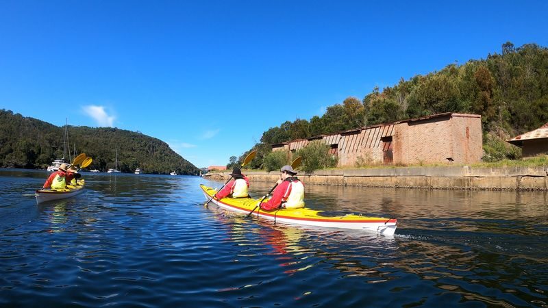 Middle Harbour Kayak Eco Tour by Sydney Harbour Kayaks - Should you book the Middle Harbour Eco Tour?