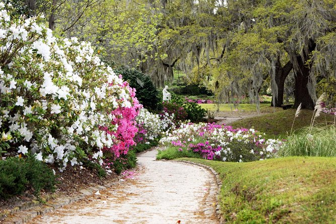 Middleton Place Admission With Self Guided Tour and Lunch - Minor Criticisms