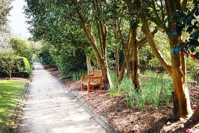 Middleton Place Admission With Self Guided Tour and Lunch - The Sum Up