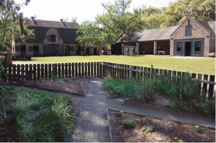 Middleton Place Plantation Tour - Experience and Highlights