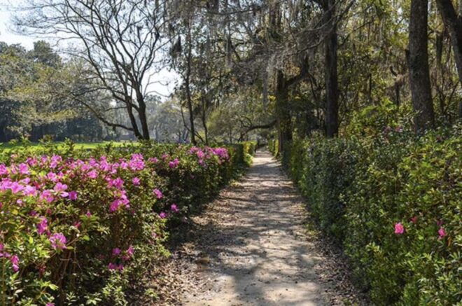 Middleton Place Plantation Tour - Directions