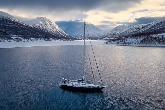Midnight Cruise Experience With Dinner in Tromso - Location and Meeting Point