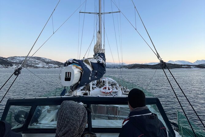 Midnight Cruise Experience With Dinner in Tromso - Group Size and Price