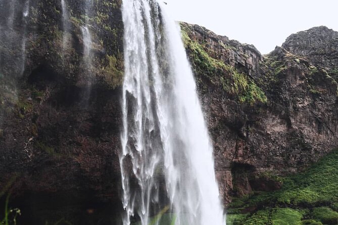 Midnight South Coast Tour in a Small Group on Silent Locations - Operator Information