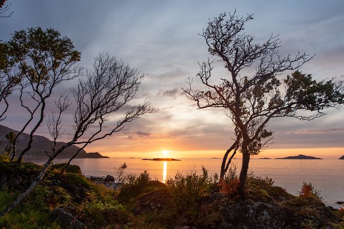 Midnight Sun Campfire Tour From Tromso - Tour Logistics