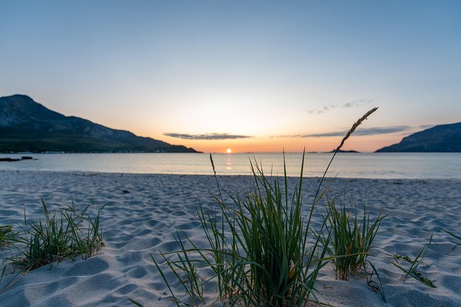 Midnight Sun Campfire Tour From Tromso - Frequently Asked Questions