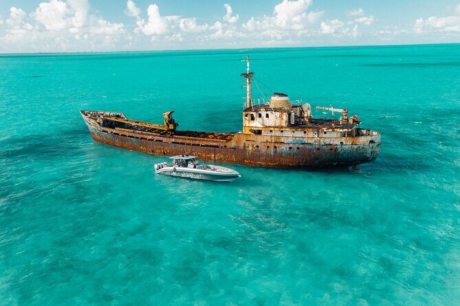 Midnight Sun Charters - 43ft Midnight Express - The Sum Up