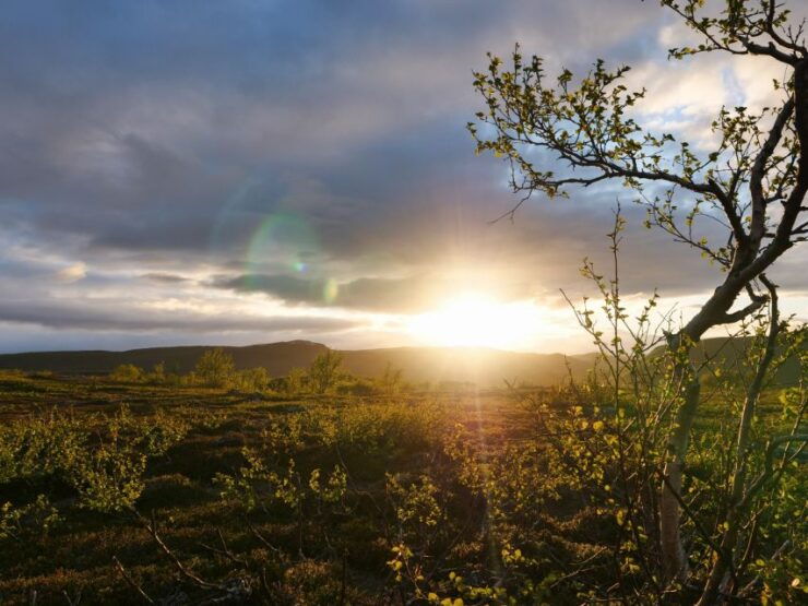 Midnight Sun Hike to the Shores of Lake Inari - Tour Guide Options and Fitness Level