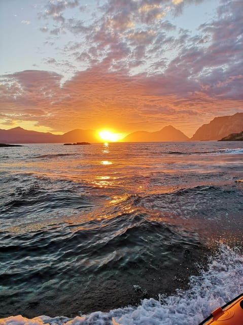 Midnight sun safari - Good To Know