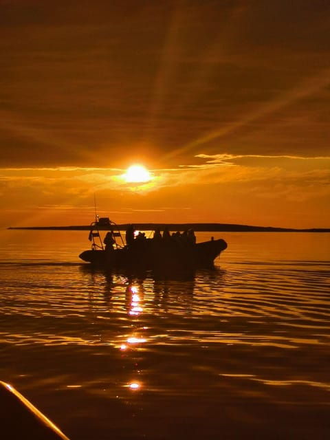 Midnight sun safari - The Sum Up