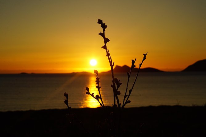 Midnightsun- Eco Friendly Tesla Model X - Highlights of the Pristine Landscapes in Northern Norway