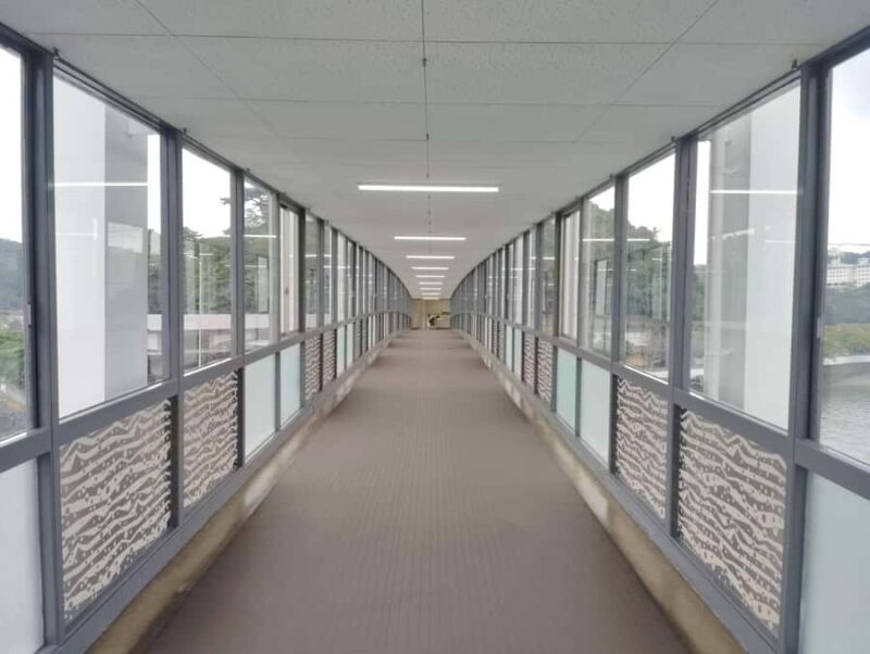 Mie: Mikimoto Pearl Island and the Birth of Cultured Pearls - Who This Tour Is Best For