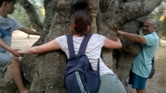 Miggiano: Olive Oil Mill Walking Tour With Tastings - Tour Description