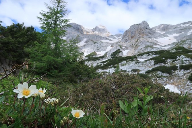 Mighty Mount Triglav Climb-summer Special-join Group - Detailed Itinerary