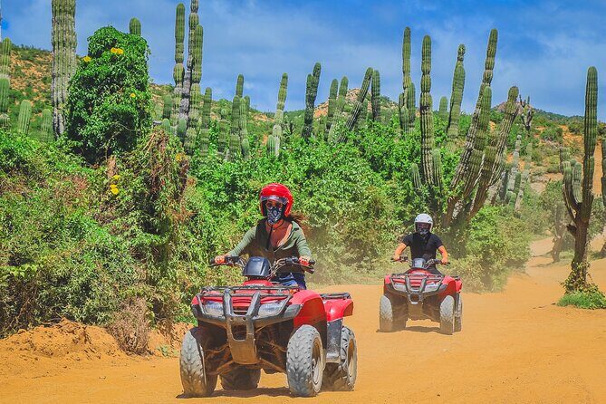 Migriño ATV Tour: Los Cabos - What to Expect from the Migriño ATV Tour
