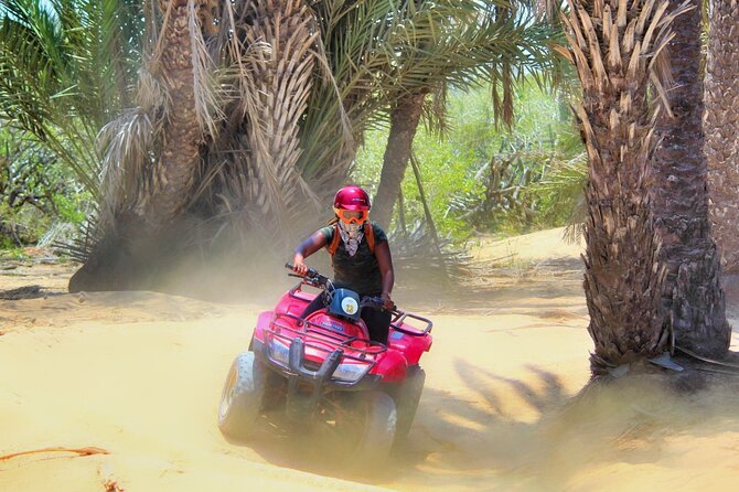 Migriño Beach ATV and Horseback Riding Experience - Overview of the Experience