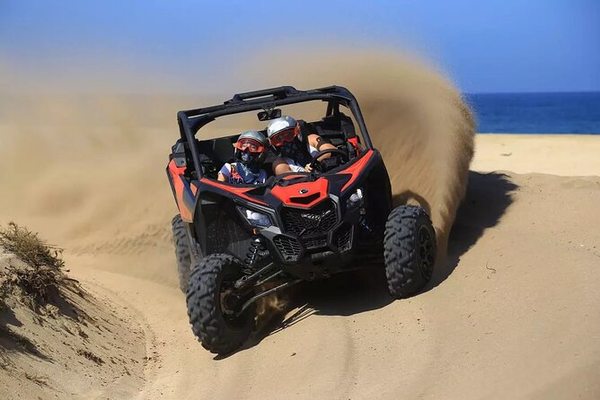 Migrino Desert & Beach Off Road Tour - What to Expect and Feedback on Tour Experience