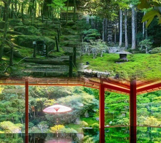 Miho Lake Biwa Water Torii One Day Tour - Cultural Experiences
