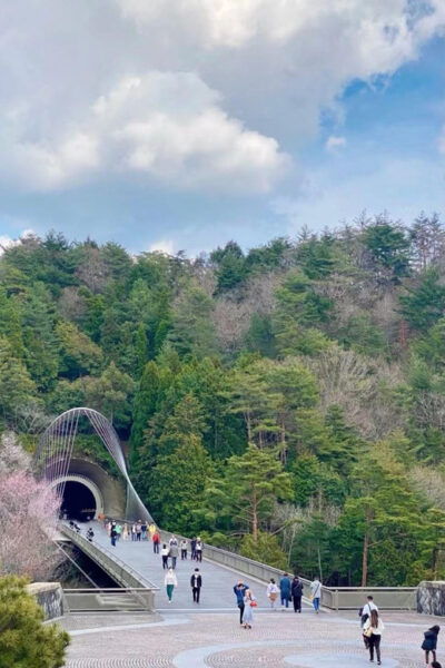 Miho Lake Biwa Water Torii One Day Tour - Frequently Asked Questions