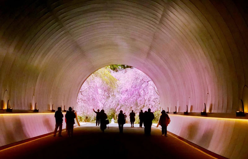 Miho Museum & Old Chikurin-in & Hiyoshi Taisha Shrine on Mount Hiei & Lake Biwa-Shirahige Shrine One-Day Tour (Osaka/Kyoto pick-up and drop-off available) - A long day, with transport doing the hard work