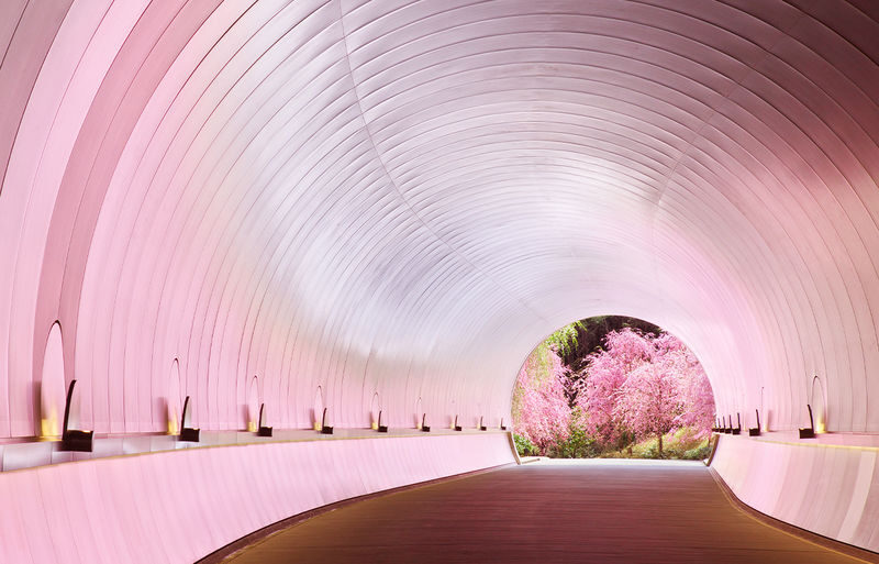Miho Museum & Old Chikurin-in & Hiyoshi Taisha Shrine on Mount Hiei & Lake Biwa-Shirahige Shrine One-Day Tour (Osaka/Kyoto pick-up and drop-off available) - Work out the real cost before you go