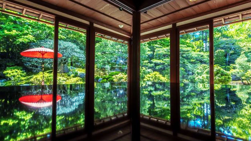 Miho Museum & Old Chikurin-in & Hiyoshi Taisha Shrine on Mount Hiei & Lake Biwa-Shirahige Shrine One-Day Tour (Osaka/Kyoto pick-up and drop-off available) - Who will enjoy this route most